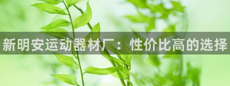 好博体育官方正版app集团E.ON：新明安运动器材厂