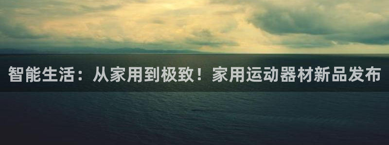 好博官方集团官网：智能生活：从家用到极致！家用运动器
