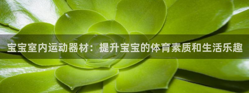 好博体育官网下载招商电话地址查询：宝宝室内运动器材：提升宝宝