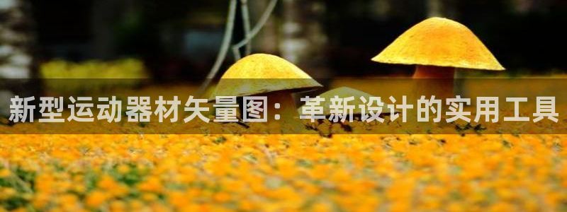 好博体育官网下载：新型运动器材矢量图：革新设计的实用工具