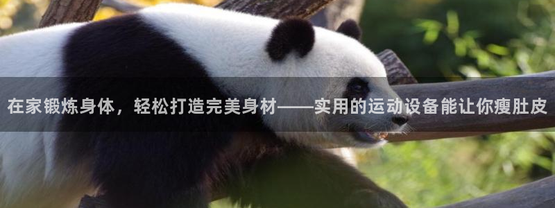 海南好博体育官网下载：在家锻炼身体，轻松打造完美身材——实用