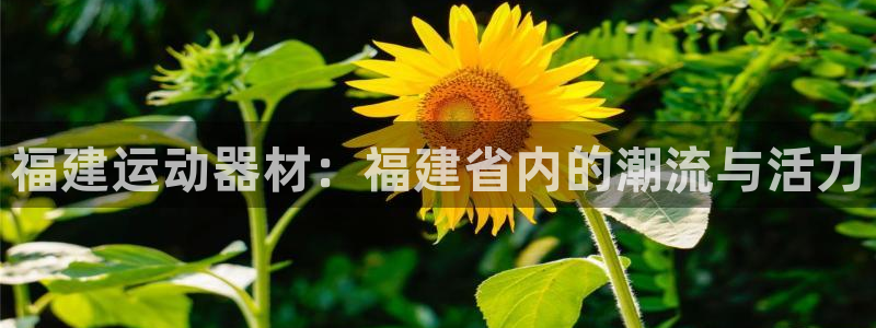 好博体育官网下载平台注册：福建运动器材：福建省内的潮