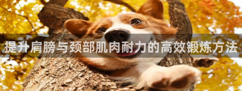 好博体育官网下载平台是正规平台吗知乎：提升肩膀与颈部