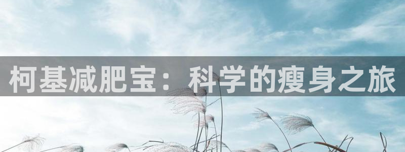 好博体育官网下载招商：柯基减肥宝：科学的瘦身之旅