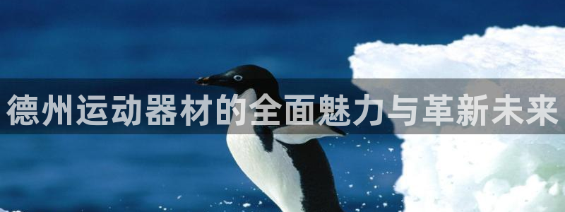 好博体育官网下载招商电话是多少号码：德州运动器材的全面魅力与