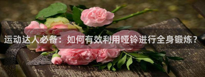 好博体育官方正版app集团logo：运动达人必备：如何有效利