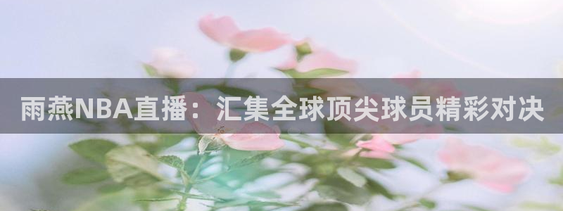 so米直播体育直播下载：雨燕NBA直播：汇集全球顶尖球员精彩对决