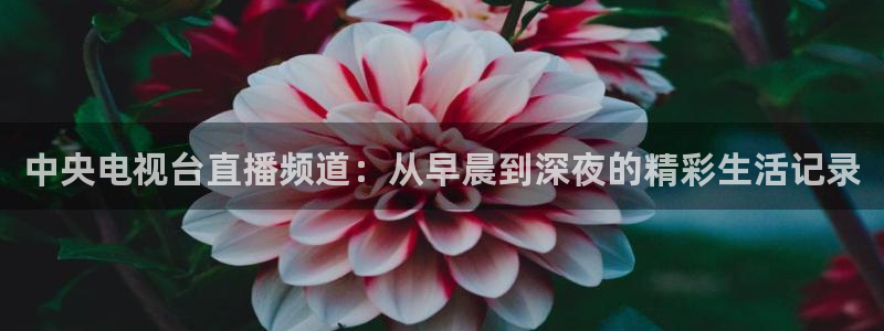 so米直播体育nba：中央电视台直播频道：从早晨到深夜的精彩生活记录