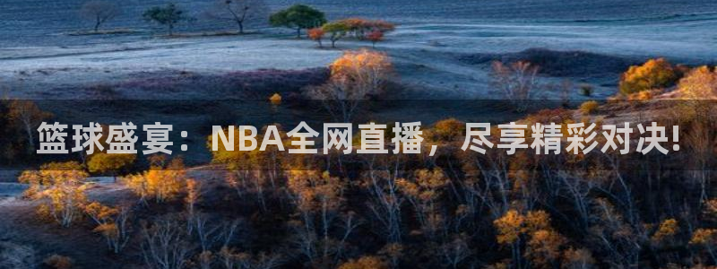 so米直播免费体育直播：篮球盛宴：NBA全网直播，尽享精彩对决!