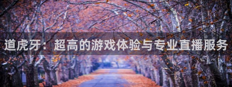 so米直播nba直播：道虎牙：超高的游戏体验与专业直播服务