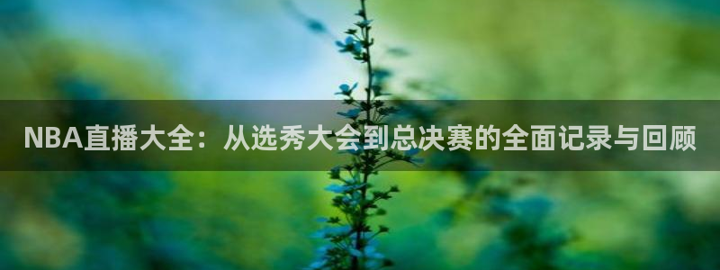 so米体育nba直播：NBA直播大全：从选秀大会到总决赛的全面记录与回顾