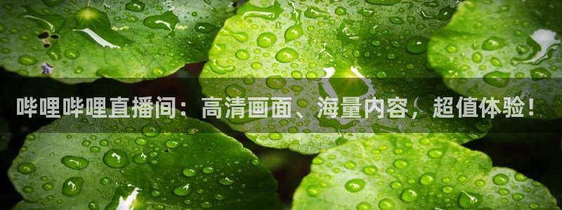 so米体育app下载：哔哩哔哩直播间：高清画面、海量内容，超值体验！
