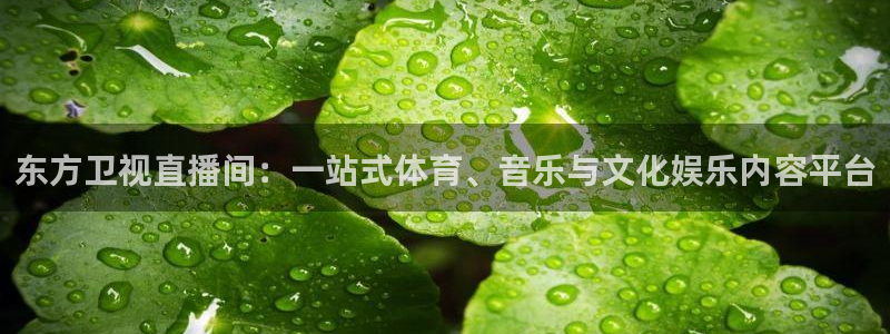 so米直播吧：东方卫视直播间：一站式体育、音乐与文化娱乐内容平台