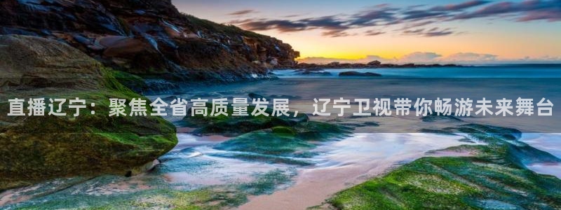 so米体育nba免费直播：直播辽宁：聚焦全省高质量发展，辽宁卫视带你畅游未来舞台
